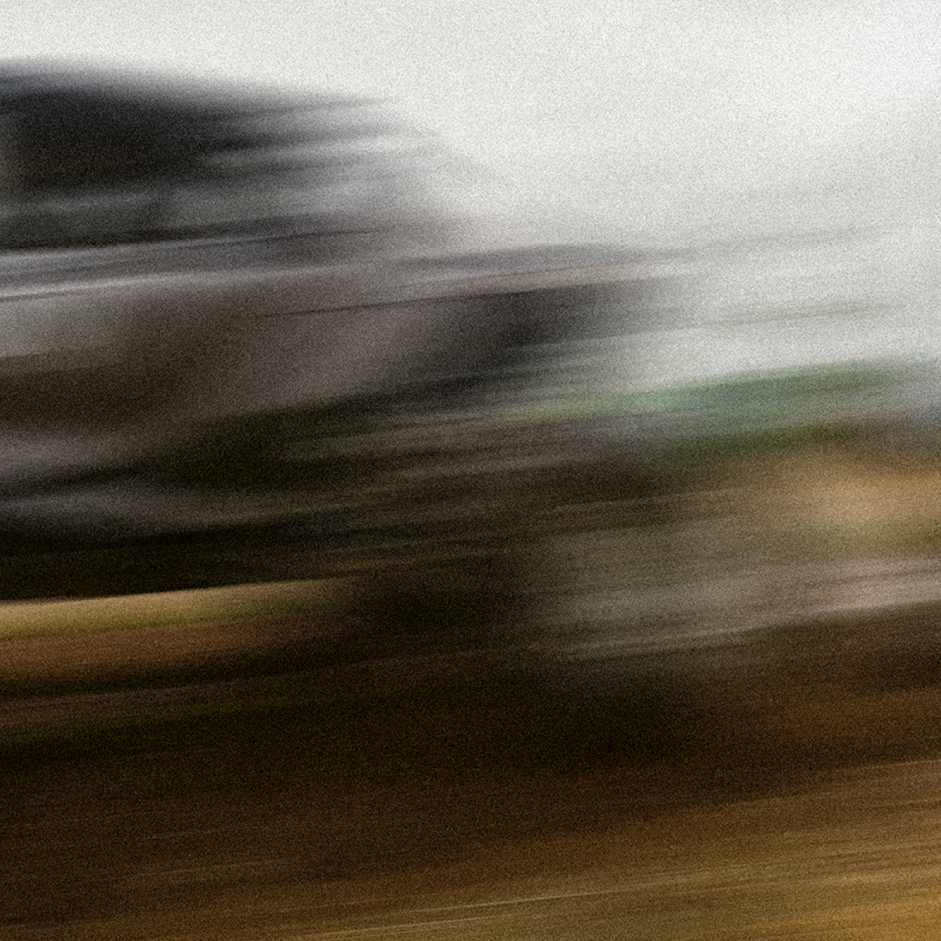 Performance Proven.